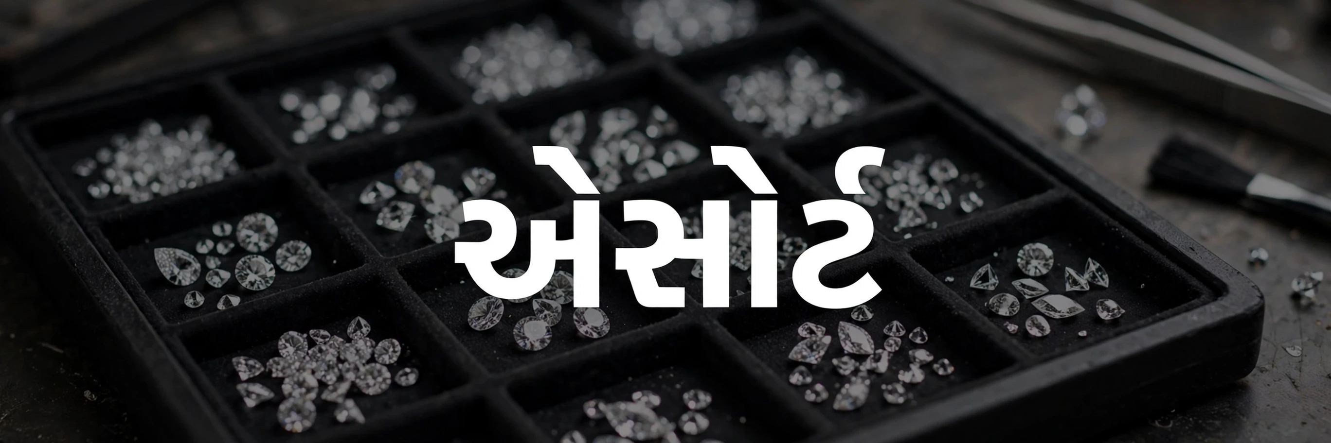 Assort (એસોર્ટ)